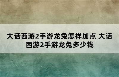 大话西游2手游龙兔怎样加点 大话西游2手游龙兔多少钱